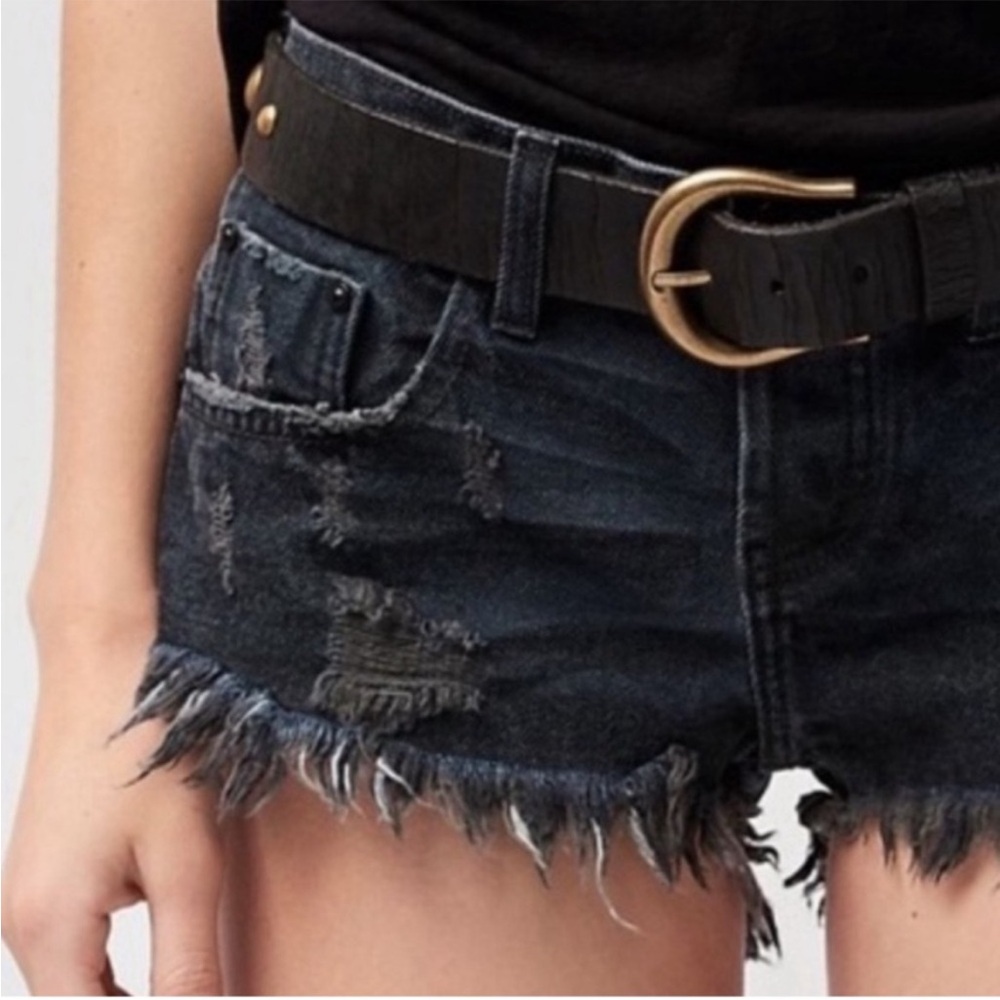 One X One Teaspoon For Free People Bonitas Low Rise Button Fly Raw‎ Hem Shorts